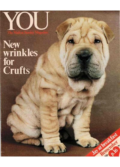 You Magazine 1982 James Fox Shar Pei Peter Jay Audrey Hepburn Bruce Frosyth Shelley Winters