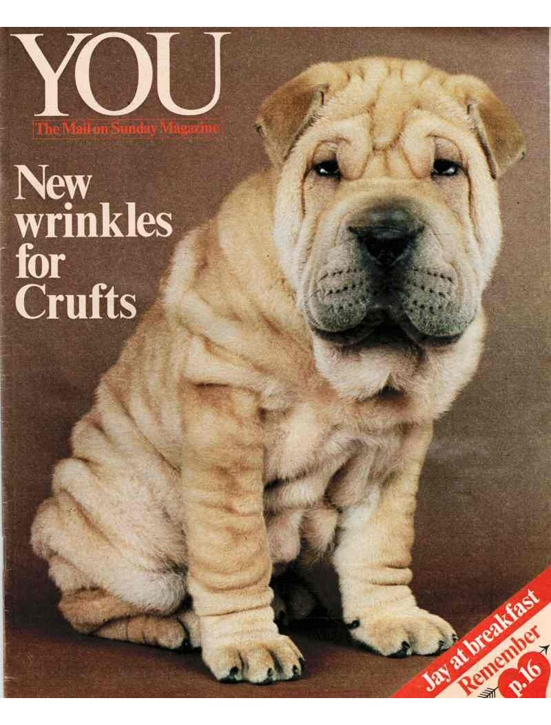 You Magazine - James Fox Shar Pei Peter Jay Audrey Hepburn Bruce Frosyth Shelley Winters