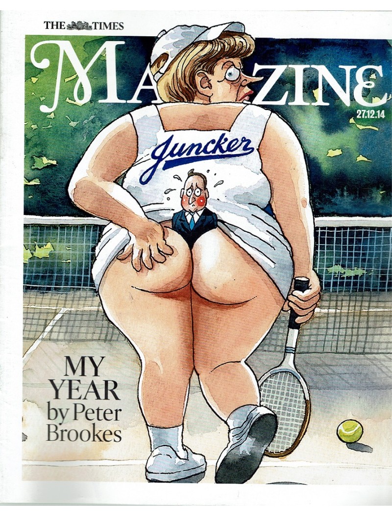 The Times Magazine 27th December 2014 Peter Brookes
